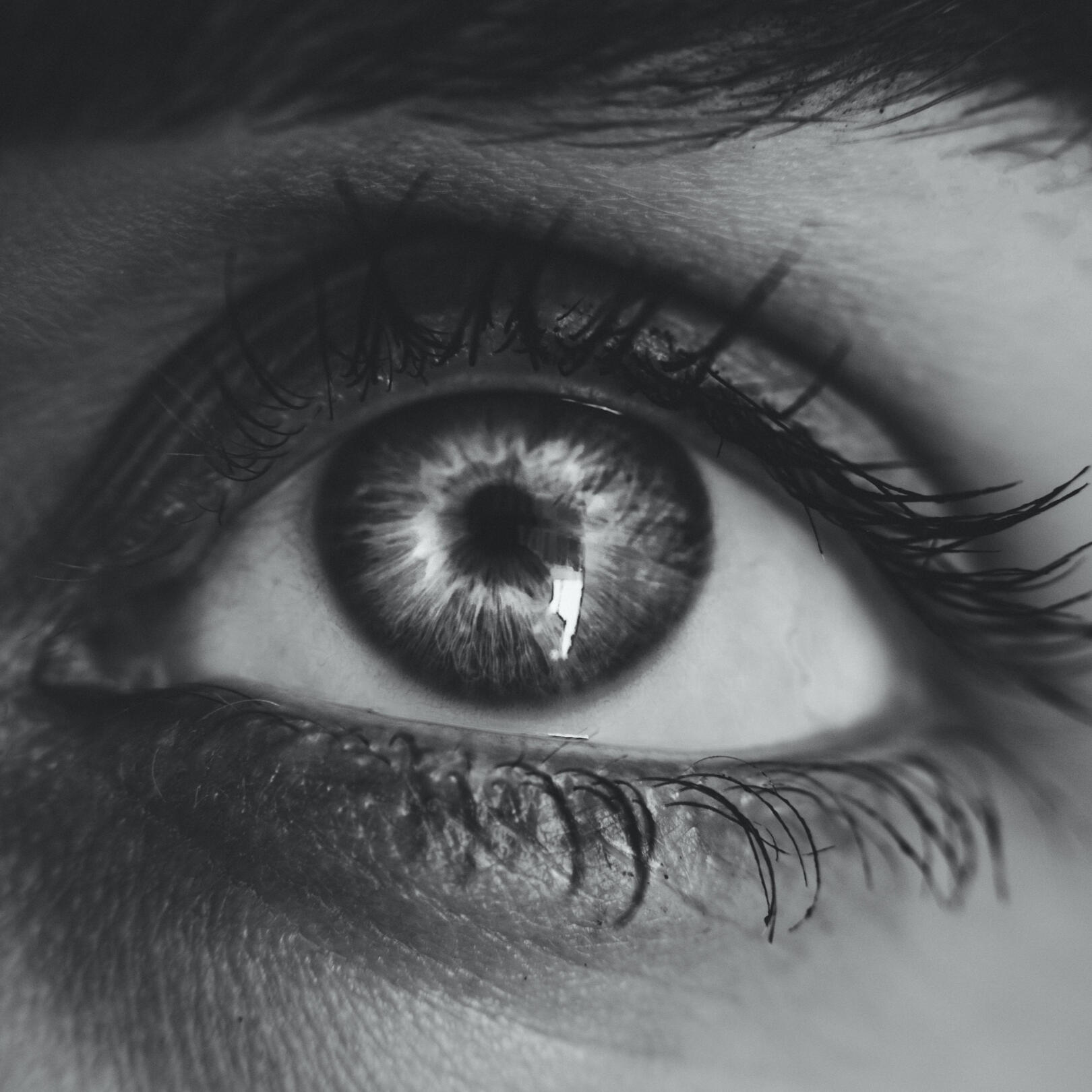 BioComms Lab/ Lab Assistant